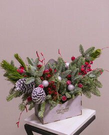 Композиция с нобилисом №52