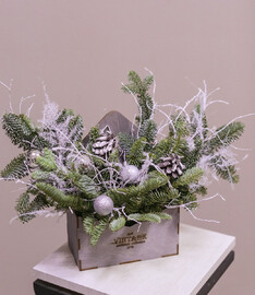 Композиция с нобилисом №51