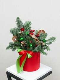  Композиция с нобилисом №16