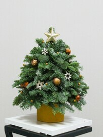 Композиция елочка из нобилиса № 10