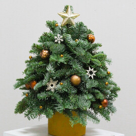 Композиция елочка из нобилиса № 10