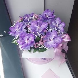 Korobka s orhideya Vanda