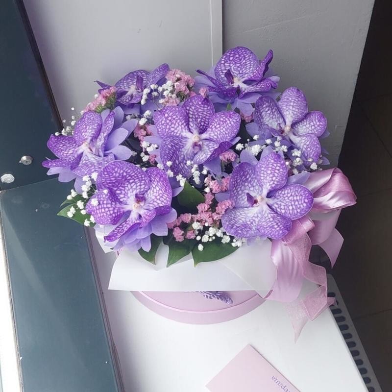 Korobka s orhideya Vanda, korobka s orhideya vanda