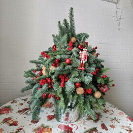 ZHivaya YOlka 75 sm SHelkunchik Novogodnyaya kompozitciya Novogodnij buket Elka iz nobelisa