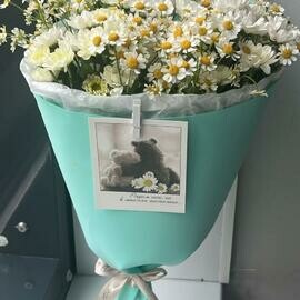 Buket romashek  Buket s santini i kustovoj romashkoj Dlya devushki/kollegi/nachal_nitce