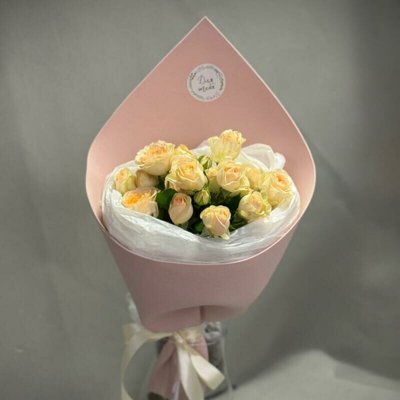 Iriska Kustovaya roza  Rozi, premium