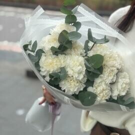 Belie diantusi Buket diantusov