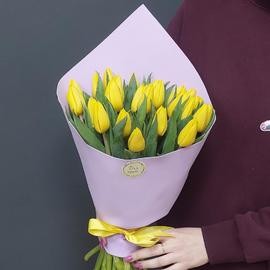 25 жёлтых тюльпанов  жёлтый тюльпан