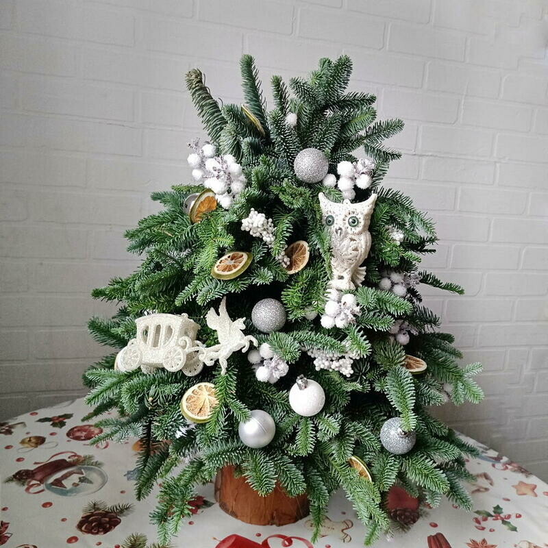 Елка из нобелиса 60 см Живая ёлка Новогодний подарок, премиум