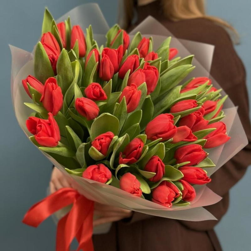 51 красный тюльпан , 51 красный тюльпан