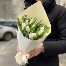 15 белых тюльпанов Белый тюльпан