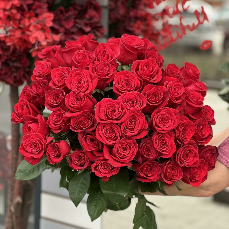 51 krasnaya roza pod atlasnuyu lentu Krasnie rozi, 51 krasnaya roza pod atlasnuyu lentu krasnie rozi