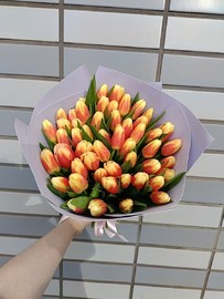 51 тюльпан  Букет тюльпанов