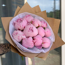 Букет из 11 нежных пионов Сара Бернар