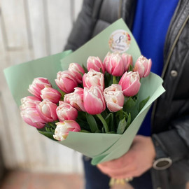 Нежный букет из 17 Тюльпанов