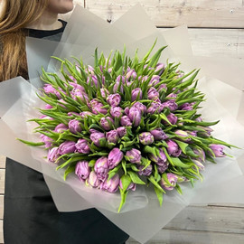 Пион тюльпан сиреневый 101 штука