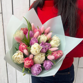 Тюльпан пион 23 штуки