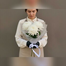 Пора хризантем