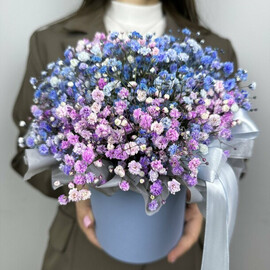 Шляпная коробка с радужной гипсофилой