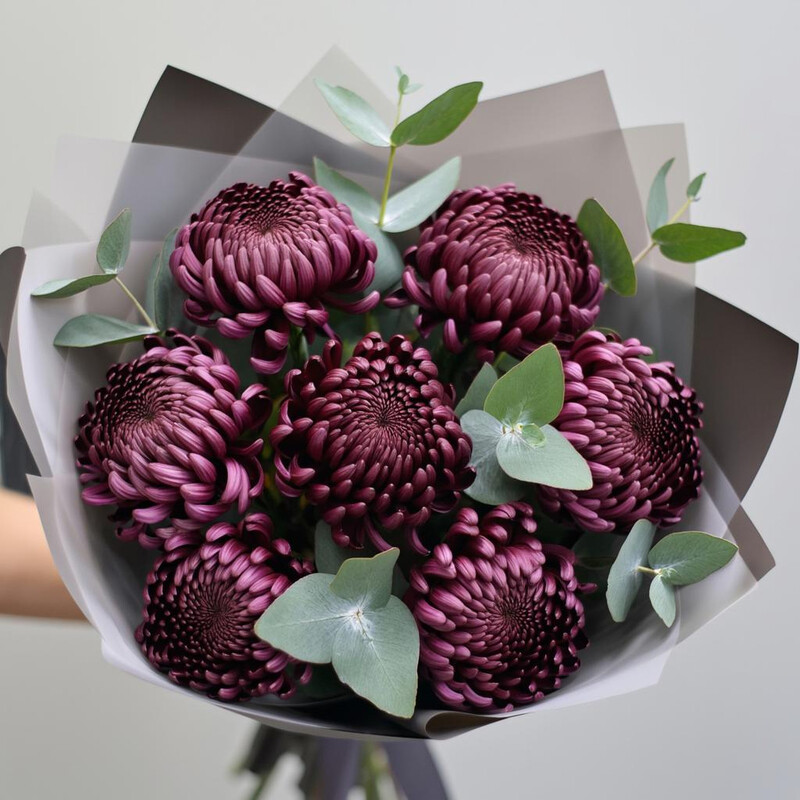 Buket 7 hrizantem Bigudi, standart