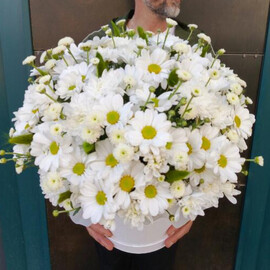 Korobka s hrizantemoj