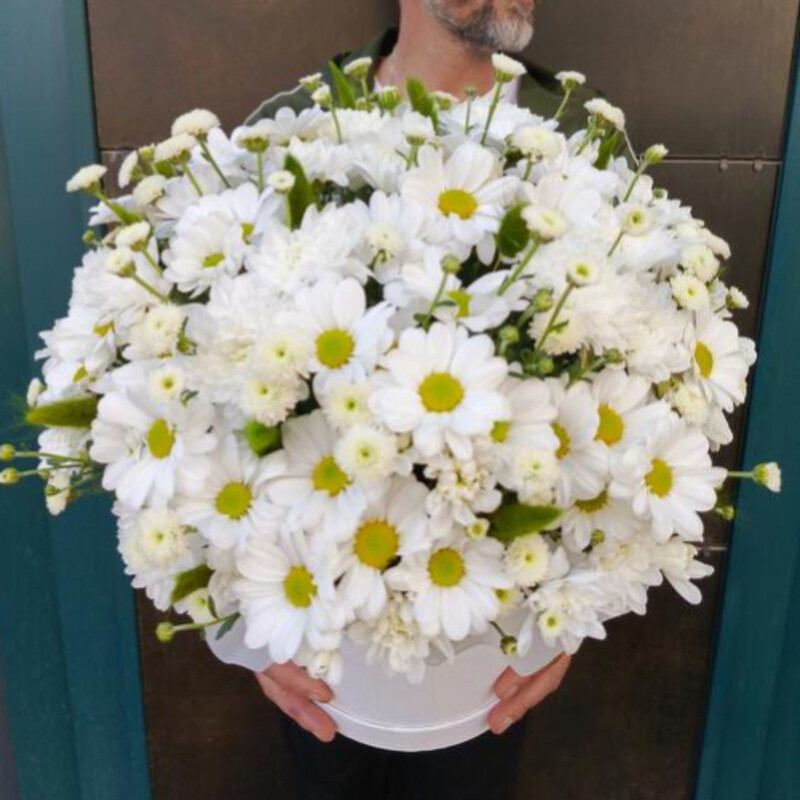 Коробка с хризантемой, стандартный