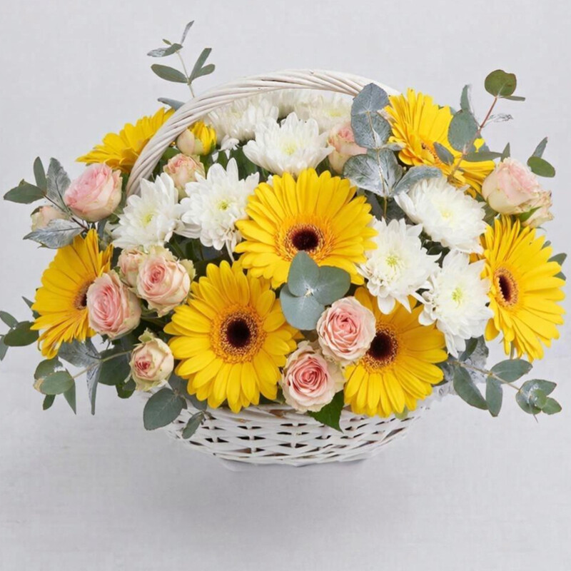 Солнышко , стандартный