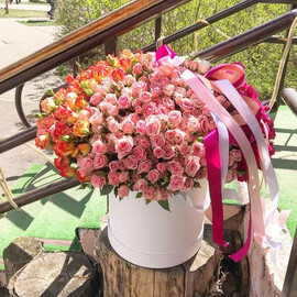 101 kustovaya roza v korobke