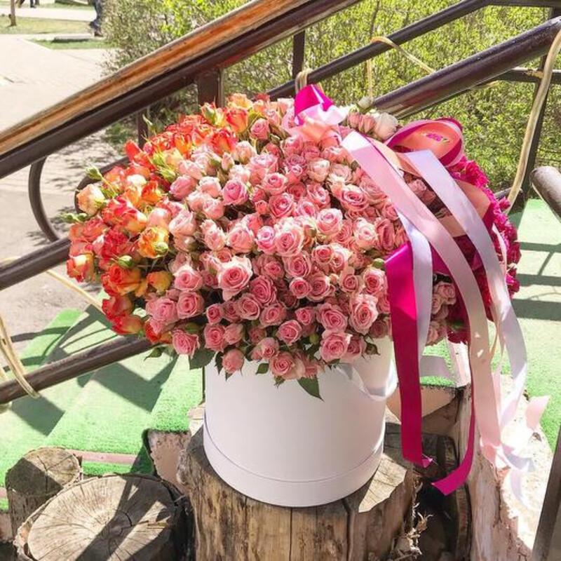 101 kustovaya roza v korobke, premium