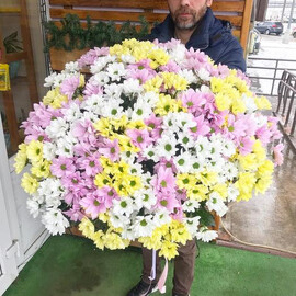 Букет 51 хризантема 