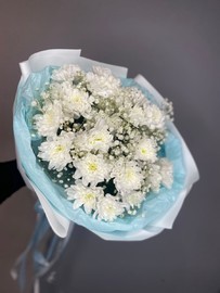 Buket nezhnaya hrizantema