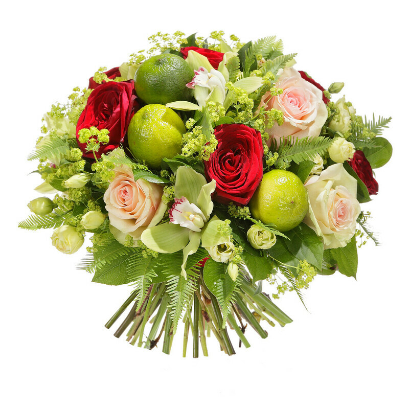 Тропический Остров, стандартный