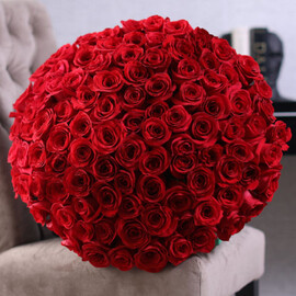 101 красная местная роза