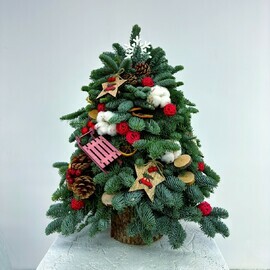 Семейный Праздник