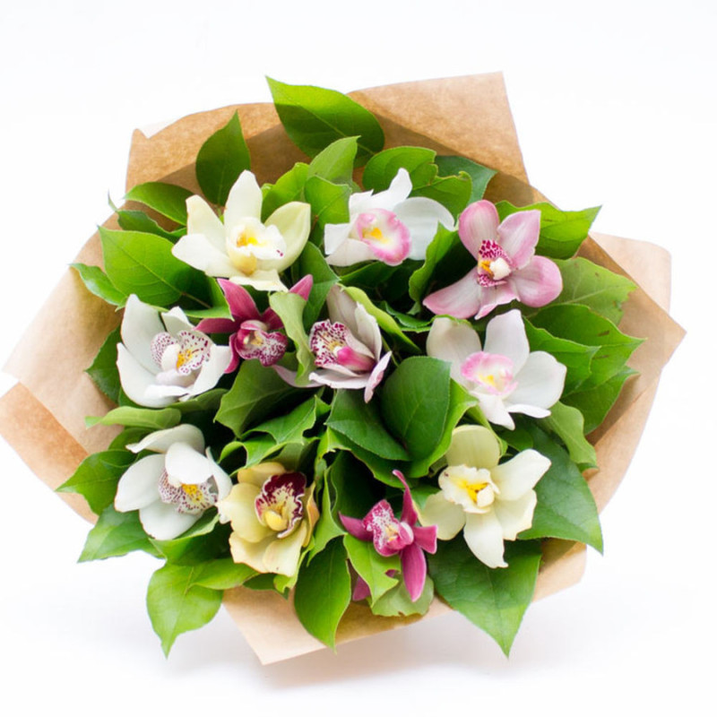 Россыпь орхидей, стандартный