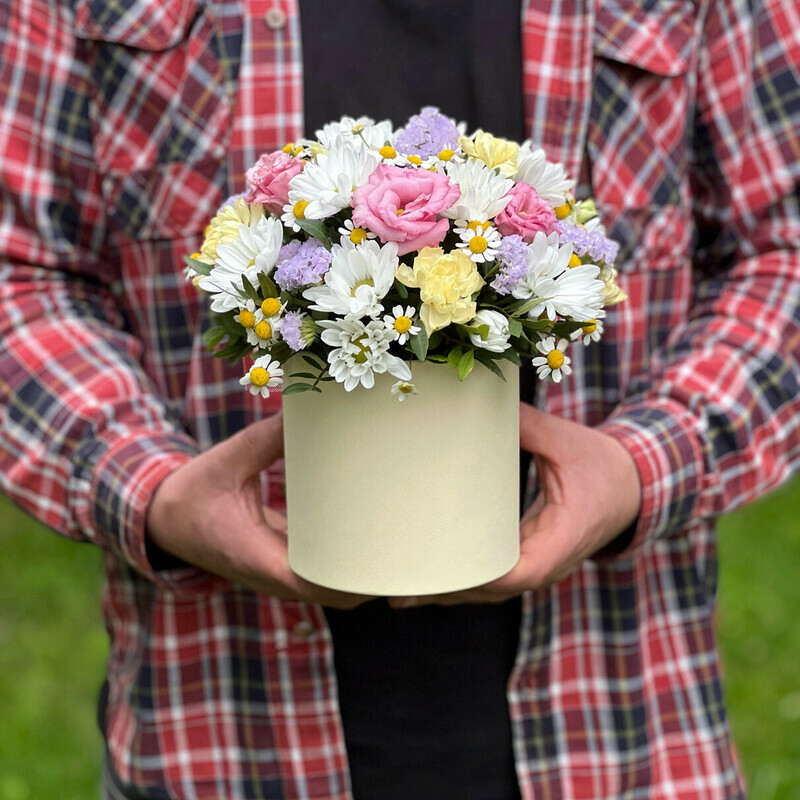 Летний Бриз, стандартный