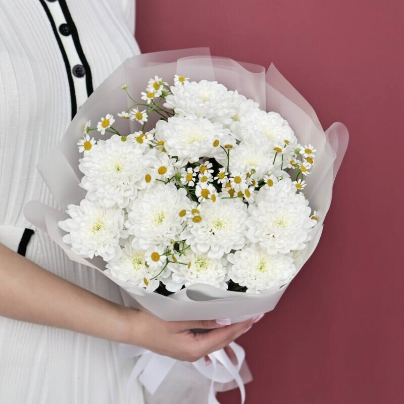 Belie hrizantemi s romashkami, standart