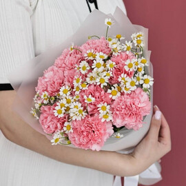 Buket rozovih diantusov s romashkami