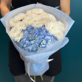 Buket hrizantem s gortenziej