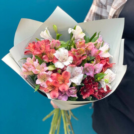 15 raznotcvetnih al_stromerij s oformleniem