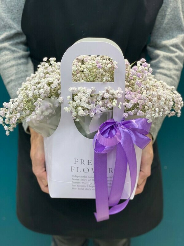 Гипсофила в сумочке, стандартный