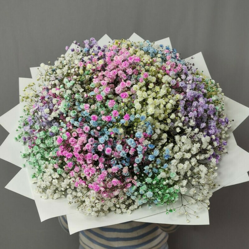 Bouquet of Rainbow Gypsophila, standart