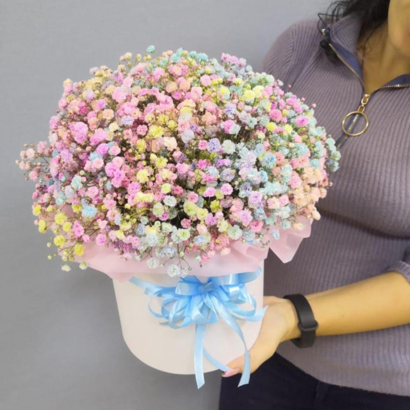 Композиция радужной Гипсофилы, стандартный