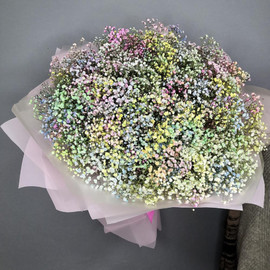 Bouquet of Gypsophila
