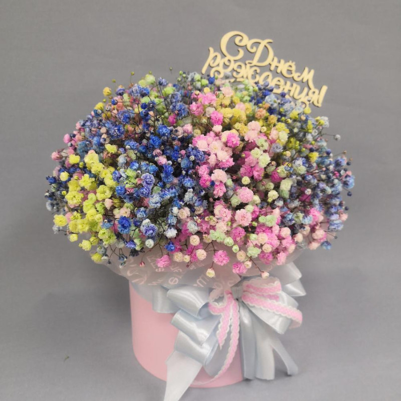 Rainbow Gypsophila, standart