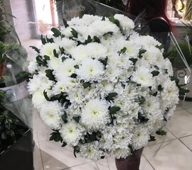 Белоснежные Хризантемы 