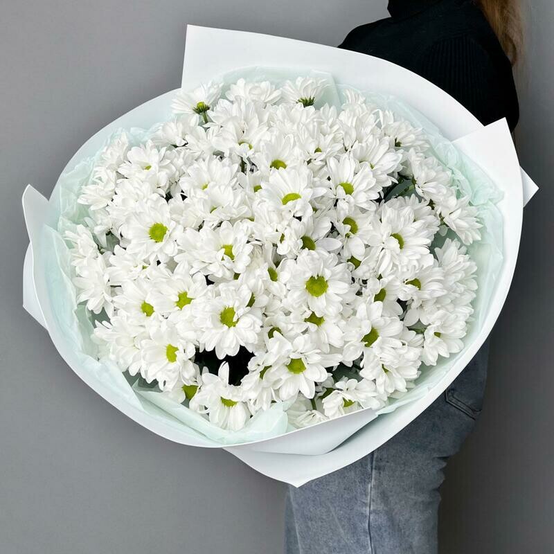 15 ромашек, 15 ромашек