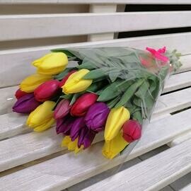 17 тюльпанов микс