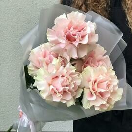 5 Французских роз