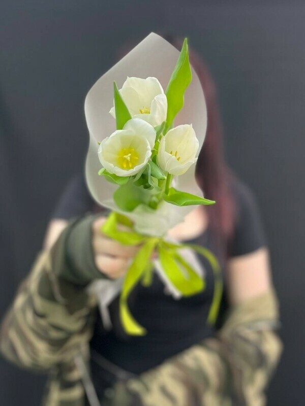 3 белых тюльпана в упаковке, 3 белых тюльпана под ленту